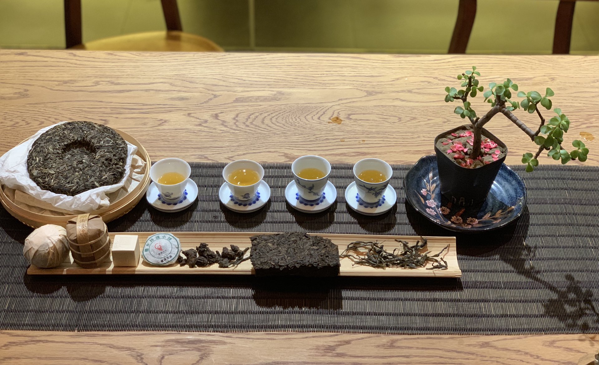 上海各区品茶喝茶