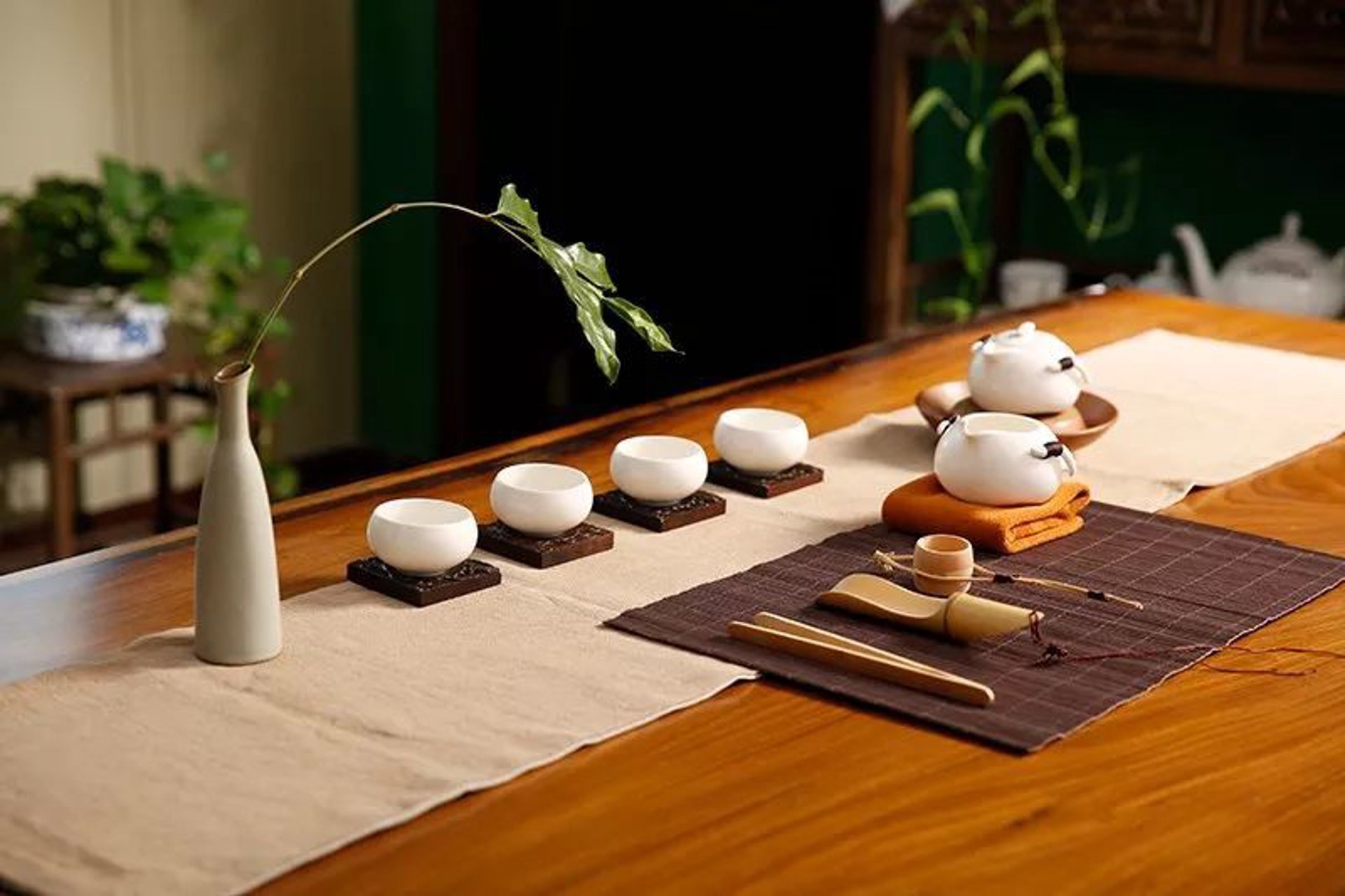 上海各区品茶喝茶